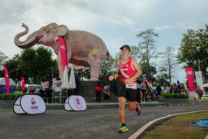 BIB: 
                            <button type="button" onclick="openModal(26528924)" class="btn btn-primary btn-sm float-right btn-popup" data-toggle="modal" data-target=".modal-high-quality">
                        <i class="fas fa-shopping-cart"></i> Add to Cart
                    </button>
                                            <button type="button" onclick="isThisMe(26528924, true)" class="btn btn-success btn-sm float-right btn-popup btn-isme hidden" data-toggle="tooltip" data-placement="bottom" title="นี่คือรูปของคุณใช่ไหม คลิกที่นี่เพื่อเอาเข้าอัลบั้ม">
                        <i class="fas fa-plus"></i> Add to album
                    </button>
                    <button type="button" onclick="isThisMe(26528924, false)" class="btn btn-warning btn-sm float-right btn-popup btn-isnotme hidden">
                        <i class="fas fa-ban"></i> Remove from album
                    </button>